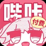 付费哔咔